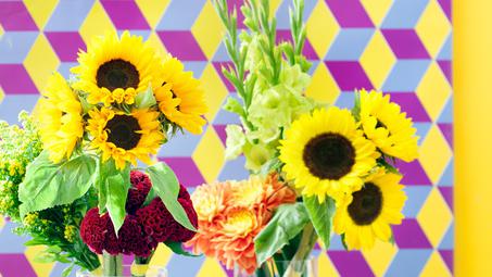 Die Sonnenblume in der Flower Agenda 2017