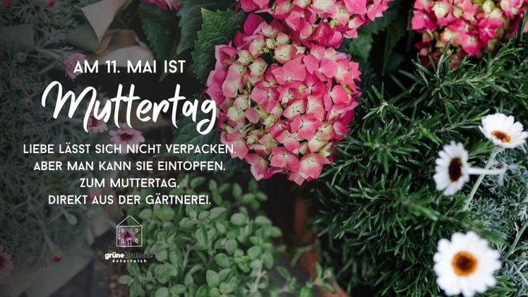 Am 11. Mai 2025 ist Muttertag. Bild: © Österreichische Blumenwerbung GmbH.