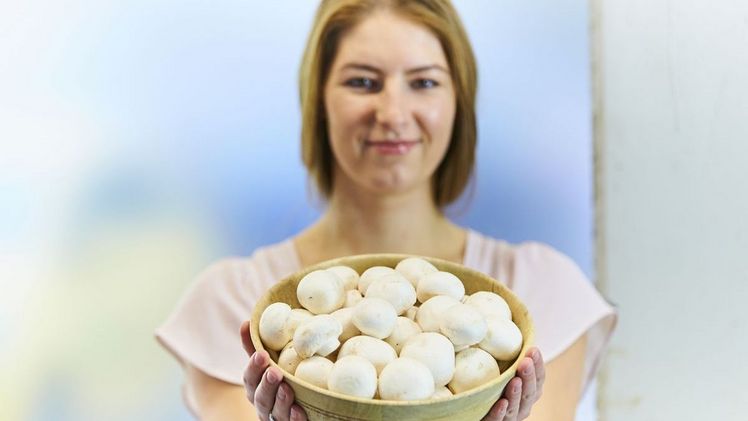 Frische Pilze – wie Champignons – werden mit hohen Hygienestandards ange-baut. Zudem enthalten sie Stoffe, die unsere Immunkräfte stärken. Bild: GMH/BDC.
