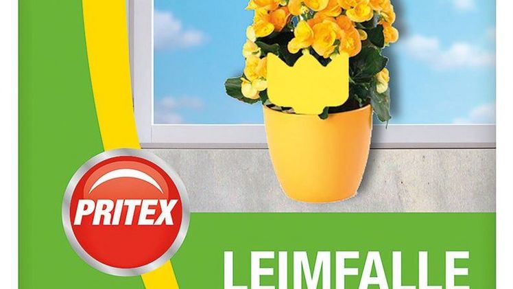 Bienen, Falter und andere sechsbeinige Artgenossen: Sie bestäuben rund 80% der Wildpflanzen und sind das Fundament eines gesunden Ökosystems. Allerdings ist der Insektenbestand in Deutschland seit 1989 um etwa drei Viertel zurück gegangen.* Um die Anzahl und Vielfalt der Insekten zu fördern, bietet jetzt die Unternehmensgruppe ALDI SÜD als erster Lebensmitteleinzelhändler Aktionsartikel an, die mit dem Label „Insect Respect“ ausgelobt sind. Ab dem 12. März ist eine insektizidfreie Klebefalle erhältlich. In den nächsten Wochen kommen weitere Produkte, die mit dem Gütezeichen gekennzeichnet sind, in die ALDI SÜD Filialen. Die Initiative stellt sicher, dass der Insektenverlust durch einen neuen Lebensraum kompensiert wird. Bild: ALDI SÜD