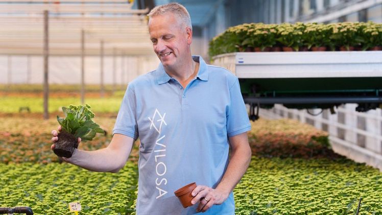 VILOSA . Bild: Pull Position.