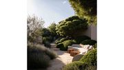 Der beispielhafte Ibiza-Garten. Bild: We Love Conifers.