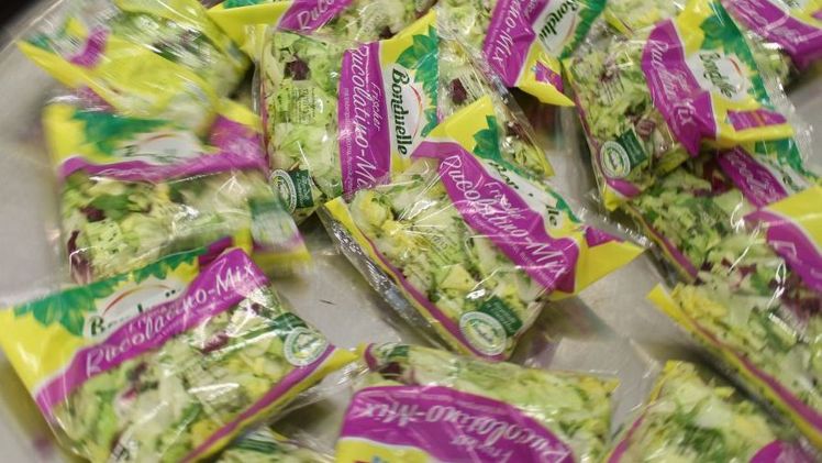 Fresh Cut Sortiment. Bild: GABOT.