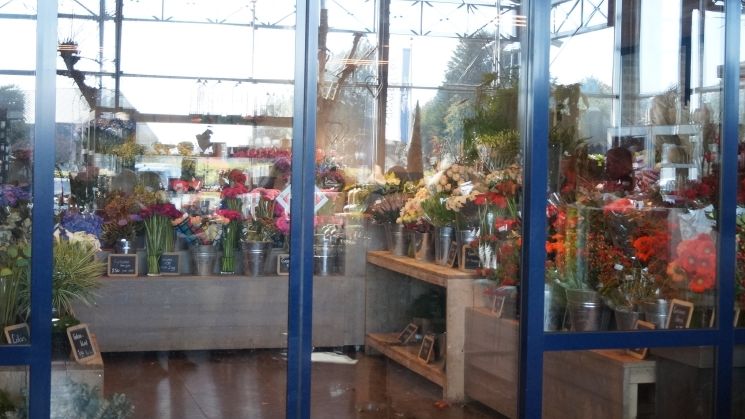 Gartencenter in NRW können jetzt häufiger sonntags öffnen. Bild: GABOT.