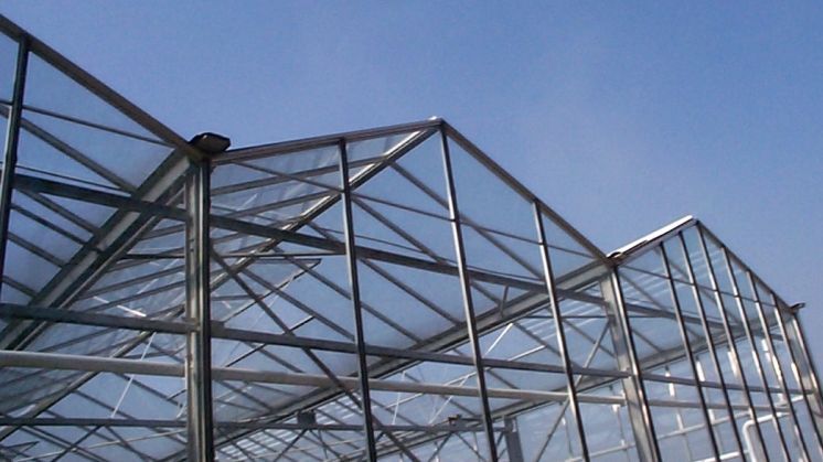 Das Ahlemer Forum 2025 findet am 13. Januar statt. Bild: GABOT.