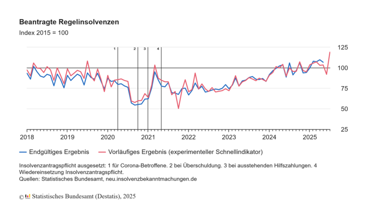 Beantragten Regelinsolvenzen. Grafik: Destatis.