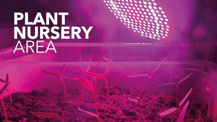 Plant Nursery Area auf der Macfrut 2025. Bild: Macfrut.