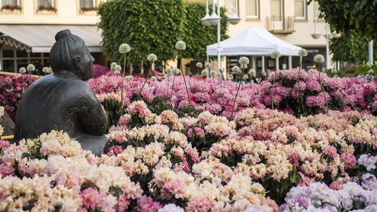 Die bekannte Rhododendronausstellung vom 13. bis 21. Mai 2023 wird diesmal ein ganz besonderes „Ereignis ohne Grenzen“. Bild: Stadt Westerstede.