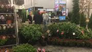 Guter Zuspruch am ersten Tag der GrootGroenPlus-Frühjahrsmesse 2019. Bild: GGP Spring Fair 19.