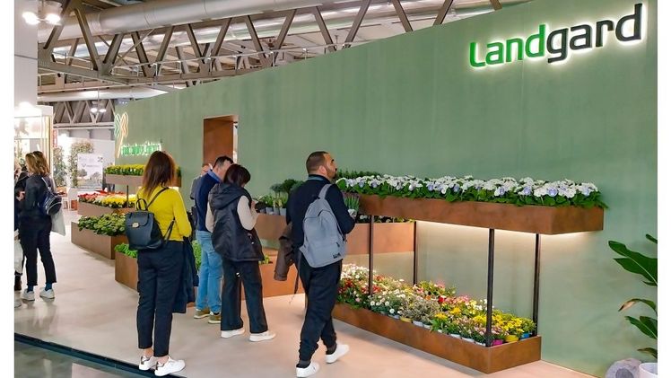 Mehr Besucher*innen und ein internationaleres Publikum bei der Myplant & Garden 2025. Bild: Landgard.
