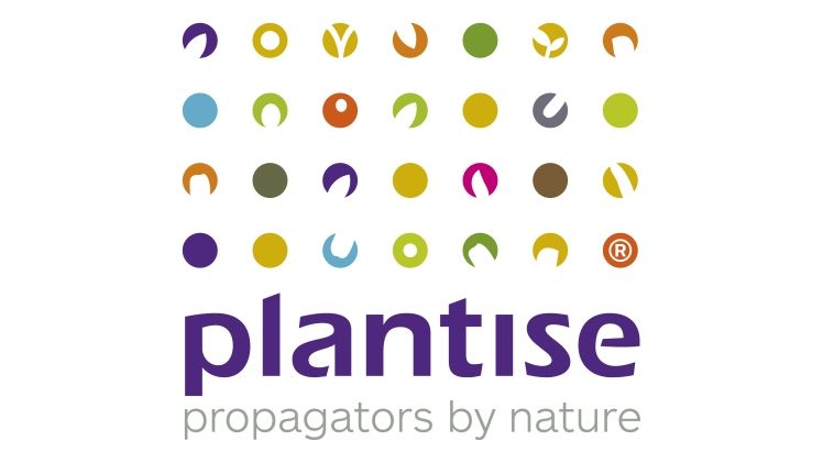 Plantise ist ein hochwertiger Pflanzenerzeuger mit Sitz in Bleiswijk. Bild: Plantise.
