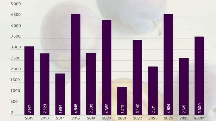 Zwetschgen: Gelieferte Mengen pro Jahr in Tonnen. Grafik: LID.