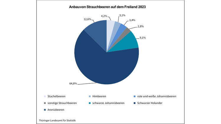Anbau von Strauchbeeren auf dem Freiland 2023. Grafik: Thüringer Landesamt für Statistik.