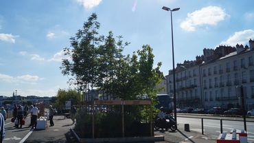Impressionen vom Quai des Plantes in Nantes. Bild: GABOT.