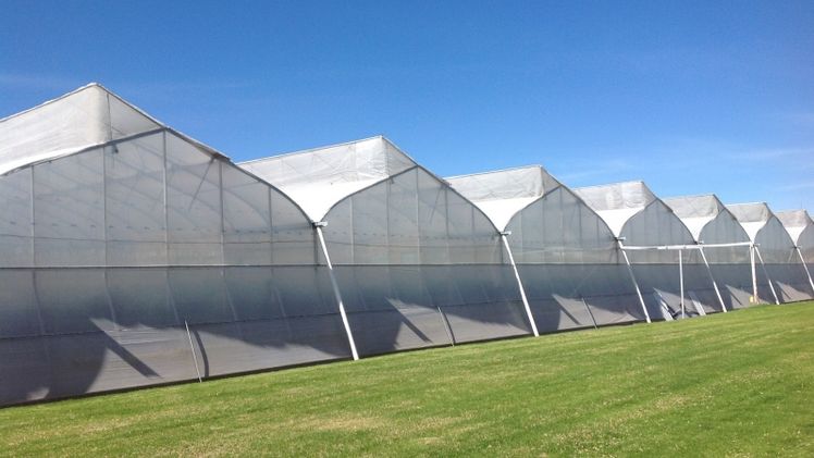BIORETE® AIR PLUS erfüllt die Anforderungen der empfindlichsten Produktionsumgebungen. Bild: Arrigoni.