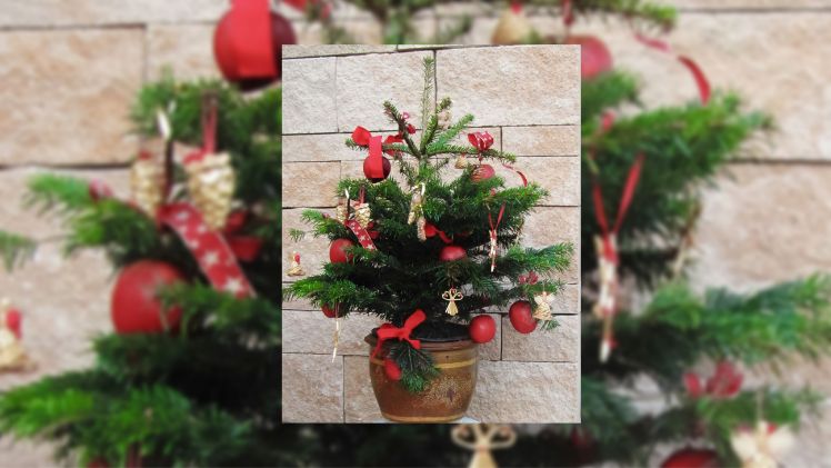 Äpfel am Weihnachtsbaum sind ein echter Hingucker. Bild: GMH.