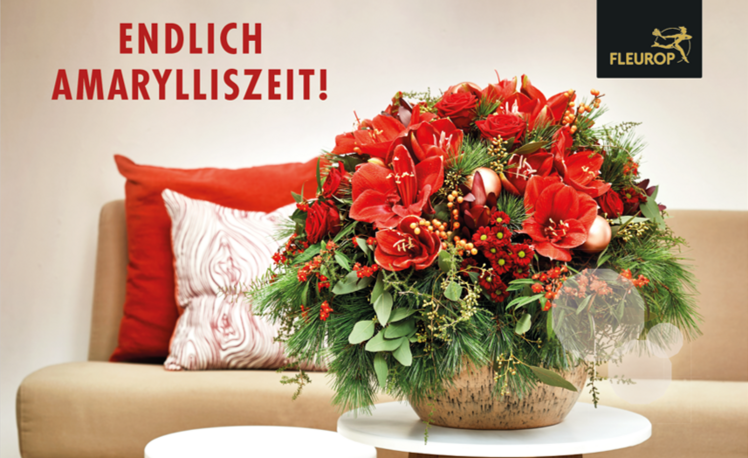 Der Amaryllis-Kampagne bei Fleurop führte zu beträchtlicher Umsatzsteigerung. Bild: Fleurop.
