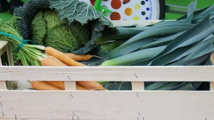 Norddeutscher Gemüsebautag am 30.1.2024 in neuer Location. Bild: GABOT. Norddeutscher Gemüsebautag am 30.1.2024 in neuer Location. Bild: GABOT.