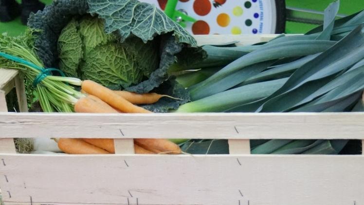 2019 sollte genutzt werden, um ein verbessertes Risikomanagement im Sektor Obst und Gemüse einzuführen. Bild: GABOT.