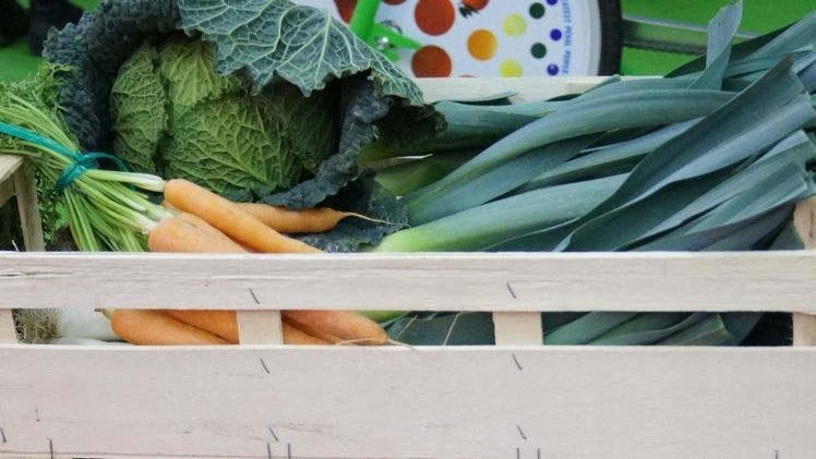 Der Bauernverband begrüßt den Schritt zur Erweiterung der generell unzulässigen Handelspraktiken. Bild: GABOT.