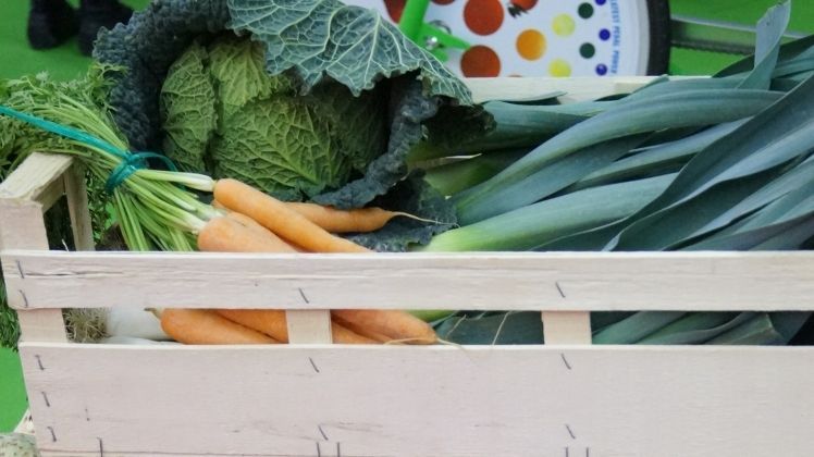 "Unsere Essgewohnheiten sind tief in Kultur, Tradition und Sozialisation verankert", erklärt Dr. Maiken Maier, die zu nachhaltiger Ernährung forscht. Bild: GABOT.