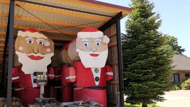 Was wird der Weihnachtsbaum 2026 kosten? Foto: IGW/Fillies.