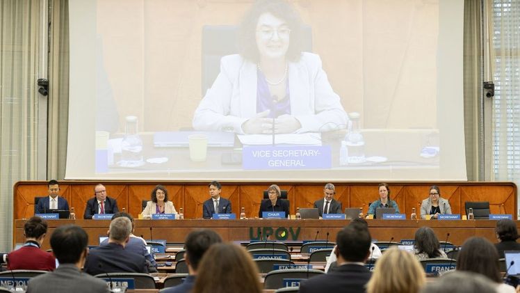 Yolanda Huerta hat ihr Amt angetreten. Bild: WIPO/BERROD.