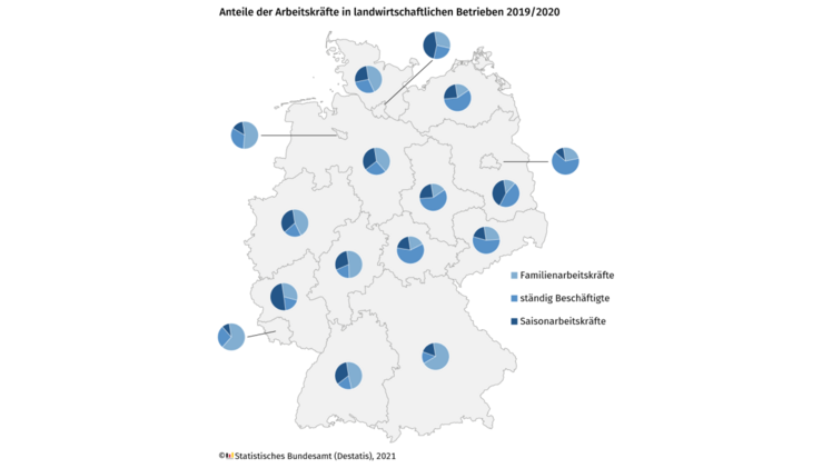 Anteile der Arbeitskräfte in Landwirtschaftliche Betrieben 2019/2020. Bild: Destatis.