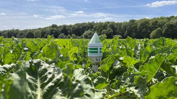 Die Climavi Microclimate ist ein innovatives System zur Messung der Bodenfeuchte. Bild: STEP Systems.