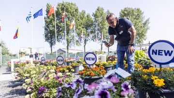 58 Züchtungsunternehmen präsentieren vom 9. bis 12. Juni 2026 ihre Neuheiten. Bild: Glenn Mostert Fotografie.