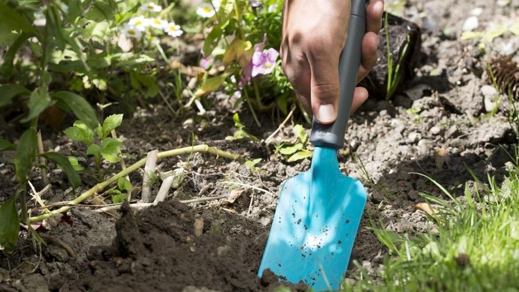Die Gartenschaufel mit ergonomisch geformtem Griff eignet sich perfekt für alle Um- und Anpflanzaufgaben in Blumenkästen, Pflanzkübeln und Beeten. Bild: GARDENA. Die Gartenschaufel mit ergonomisch geformtem Griff eignet sich perfekt für alle Um- und Anpflanzaufgaben in Blumenkästen, Pflanzkübeln und Beeten. Bild: GARDENA.