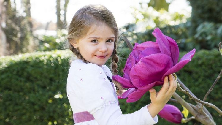 Neues Blütenwunder für den Garten: Meganolia. Bild: Baumschule Diderk Heinje. 