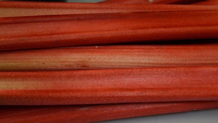 Die Anbaufläche in der Schweiz lag 2025 bei gut 110 Hektar. Bild: GABOT.