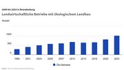 Öko-Betriebe. Grafik: Amt für Statistik Berlin-Brandenburg.