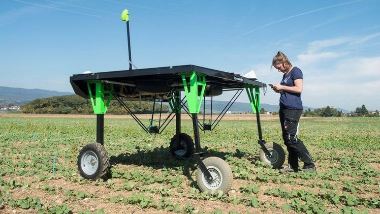 Autonome Feldroboter - im Bild ein Jätroboter - halten immer mehr Einzug im Ackerbau. Bild: Agroscope, Carole Parodi. 