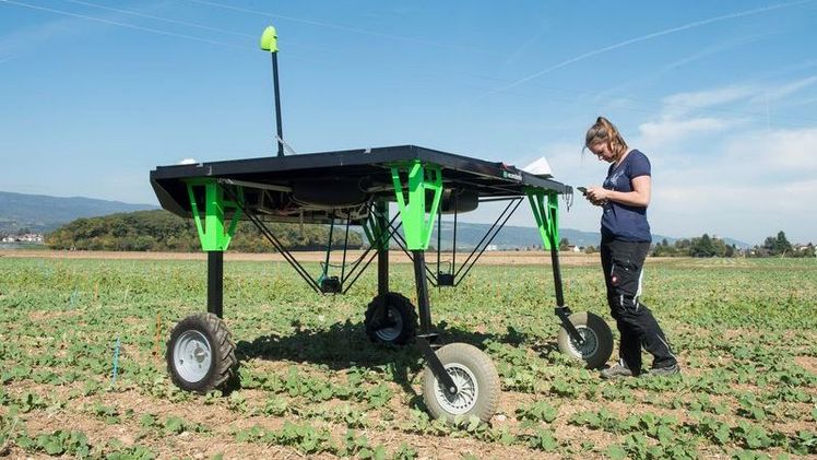 Autonome Feldroboter - im Bild ein Jätroboter - halten immer mehr Einzug im Ackerbau. Bild: Agroscope, Carole Parodi.
