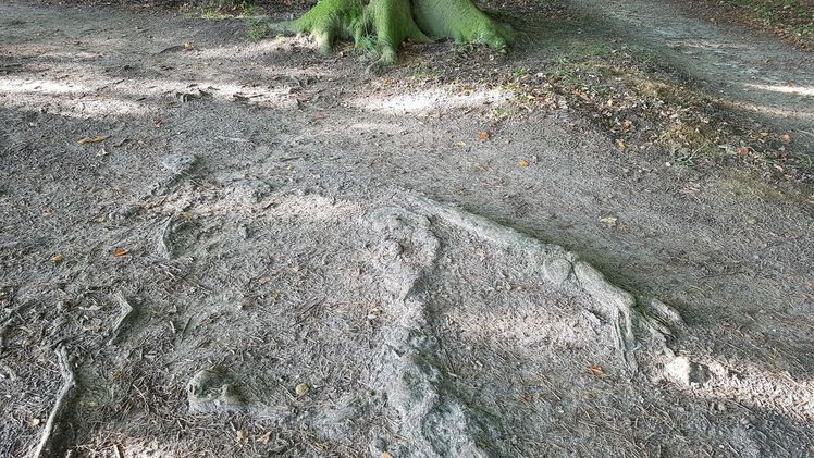 Die Klägerin hätte eine gesteigerte Eigensorgfalt an den Tag legen müssen. Symbolbild: GABOT.