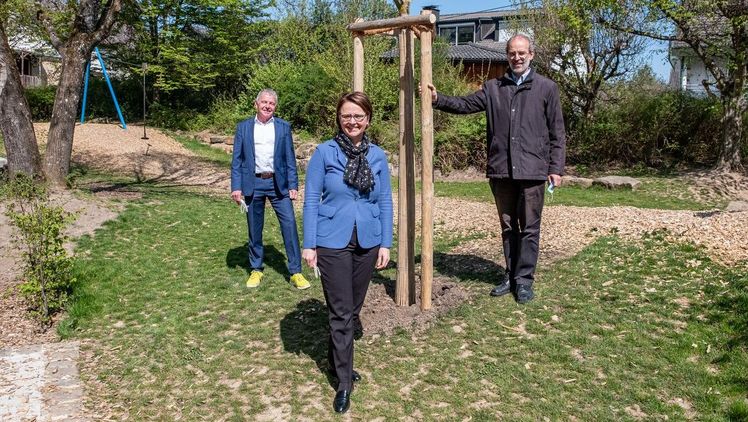 Reiner Bierig, Geschäftsführer VGL BW, Annette Widmann-Mauz MdB und der Kusterdinger Bürgermeister Dr. Jürgen Soltau begutachten den frisch gepflanzten Blutahorn. Bild: Büro Widmann-Mauz.