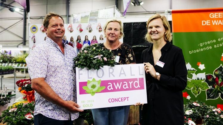 Das Konzept 'Ghent Azalea Young Stars' von Geert und Marijke De Waele-Reynvoet erntete beste Noten von der Fachjury. Bild: Florall © wide open.