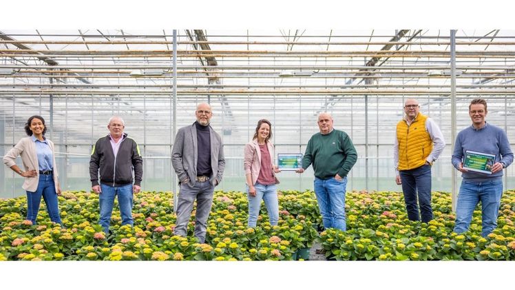 Alle Beteiligten der Hortensia Benchmark. Bild: Royal FloraHolland.