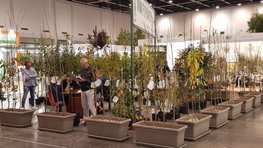 Impressionen von der Flormart GREEN ITALY 2024. Bild: GABOT.