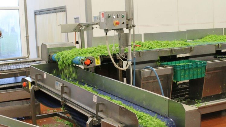 Die NRW-Industrie produzierte im Jahr 2021 Obst- und Gemüseerzeugnisse im Wert von über 2,6 Mrd. Euro. Bild: GABOT.