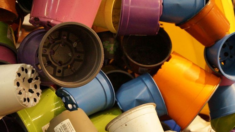 Der ZVG fordert eine praxisgerechte Einstufung gartenbaulicher Verpackungen. Bild: GABOT.