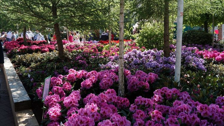 Das neue Konzept profitiert von der starken, regionalen Gemeinschaft. Bild: GABOT.