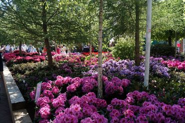 Impressionen von der RHODO 2023. Bild: GABOT.