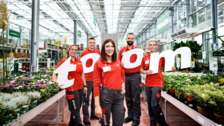 Über 200 neue Talente starten ihre Ausbildung bei toom Baumarkt. Bild: toom.
