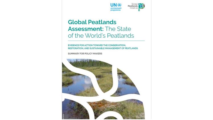 Global Peatlands Assessment: Evidence for action toward peatlands conservation. Bild: Greifswald Moor Centrum.