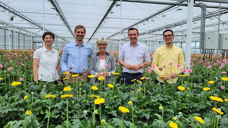Paul Ziemiak und Stephan Wolters zu Besuch bei der Firma Gerbera van Megen in Straelen. Bild: Landesverband Gartenbau NRW.