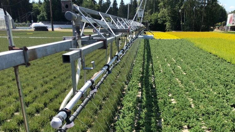 Eine ausreichende Bewässerung – wie hier im Bild gezeigt – wird im Sommer nur noch möglich sein, wenn der Gartenbau seine Wasserspeicherkapazitäten deutlich erhöht. Foto: GV.