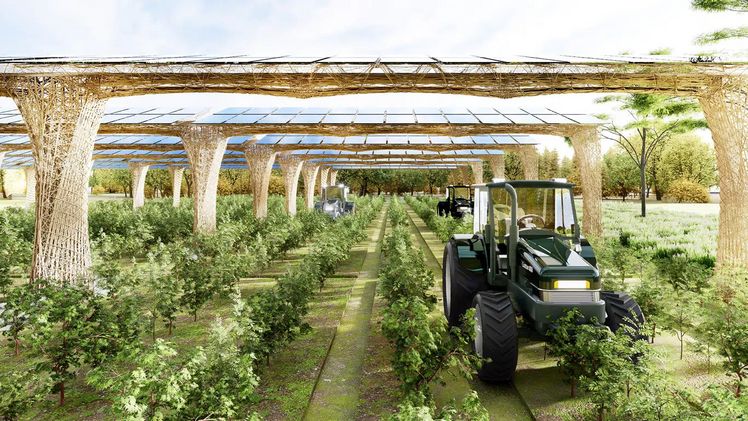 Materialrevolution in der Agri-PV Branche. Bild: AgroSolar.